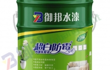 郴州乳膠漆是什么